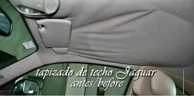 tapizado techo
